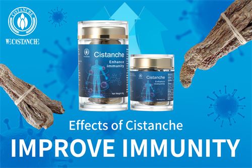Cistanche Polysaccharide promoting proliferation of lymphocytes