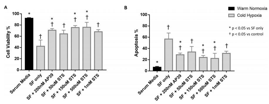 Viability of rat kidney epithelial cells (NRK-52E) following in vitro cold IRI. Cells in the control group were cultured in DMEM containing 10% FBS and 1% P/  S at normal growth conditions of 37 ◦C, 21% O2, and 5% CO2 while those in the experimental were treated with either serum-free media (SF) alone, SF supplemented  with 200 nM AP39 or SF supplemented with different concentrations of STS and exposed to cold (10 ◦C) hypoxia for 24 h, followed by reoxygenation for 24 h under  conditions identical to control cells. (A) Mean cell viability as determined by ratio of cells negative for 7-AAD and FITC-Annexin-V staining. (B) Mean apoptosis  determined by ratio of cells stained positive for FITC-Annexin-V and negative for 7-AAD. Bars indicate mean ± SEM. * p < 0.05 vs SF only, † p < 0.05 vs control.