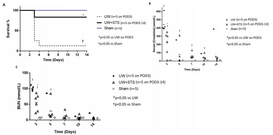 Fig. 2. STS improves renal graft survival and function following prolonged SCS and transplantation.