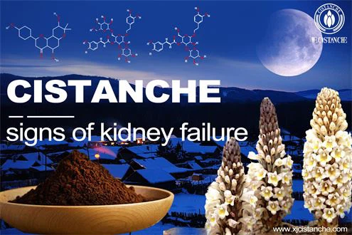 kidney disease: diabetic nephropathy kidney disease: diabetic nephropathy