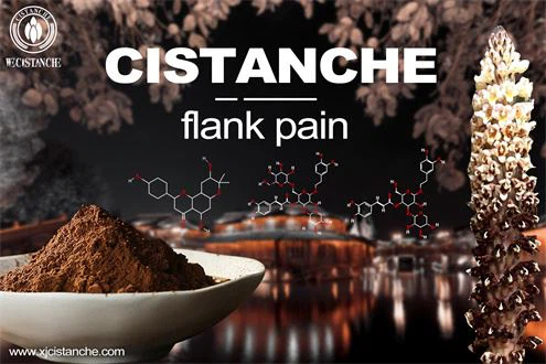 Effects of the CCR2 Antagonist on Diabetic Nephropathy Effects of the CCR2 Antagonist on Diabetic Nephropathy