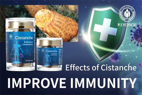 Cistanche supplement Cistanche supplement