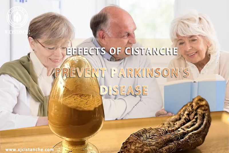 Cistanche for parkinson's disease
