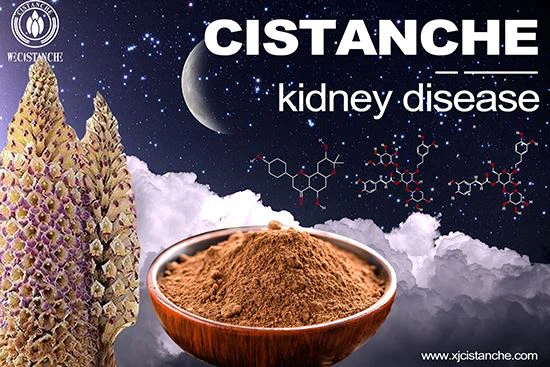 cistanche-kidney disease-5(53) cistanche-kidney disease-5(53)