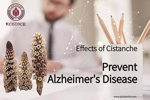 Anti Alzheimer's disease (12)