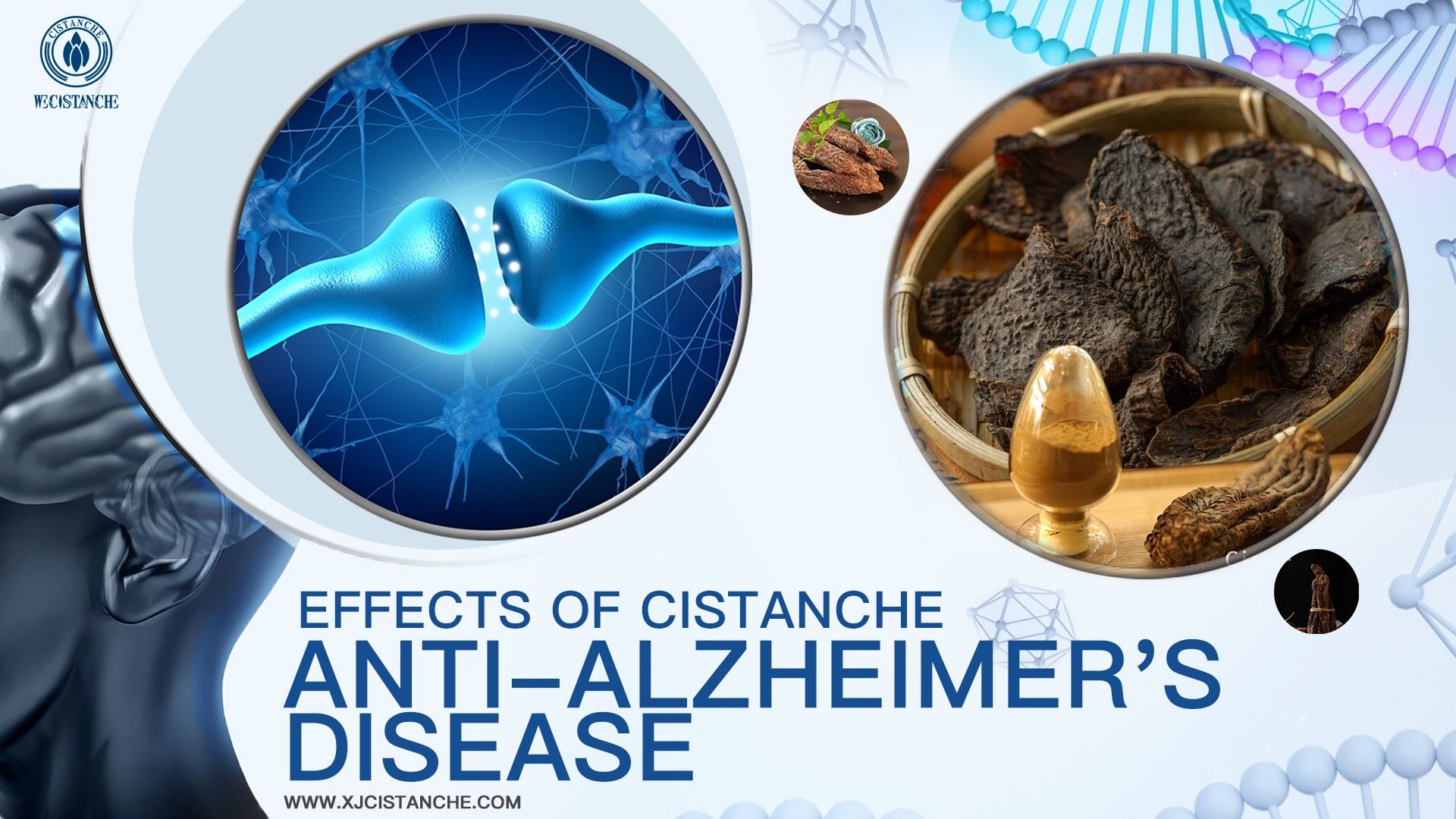 natural herb for alzheimer's disease natural herb for alzheimer's disease