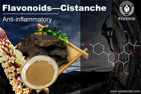 flavonoids anti-inflammatory flavonoids anti-inflammatory
