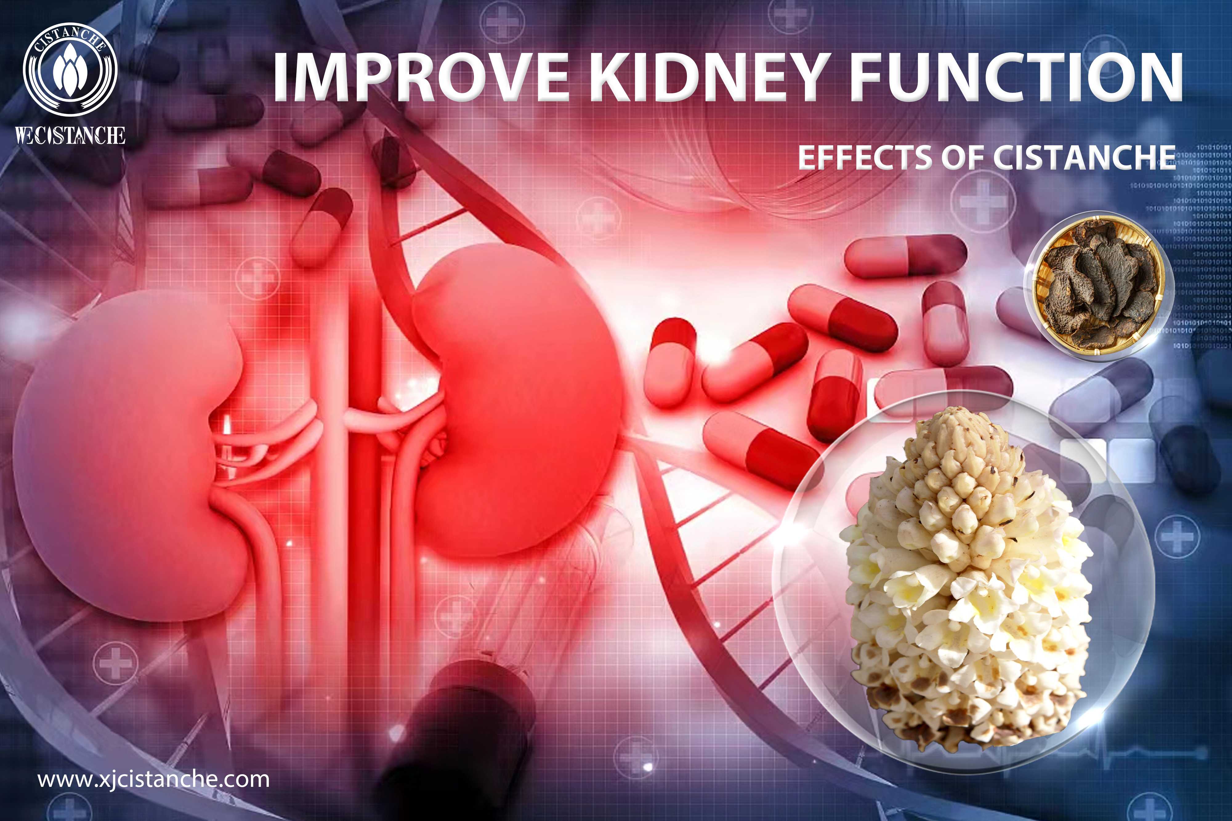 how to prevent kidney disease how to prevent kidney disease