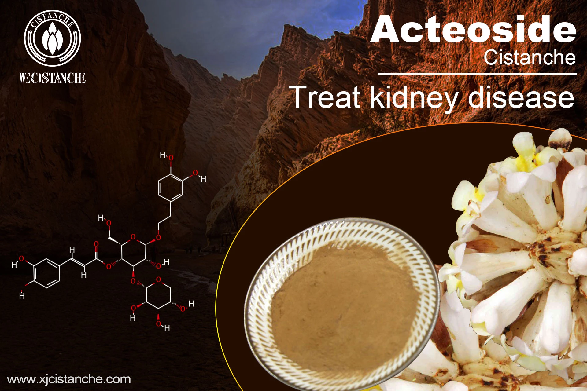 the best kidney supplement the best kidney supplement