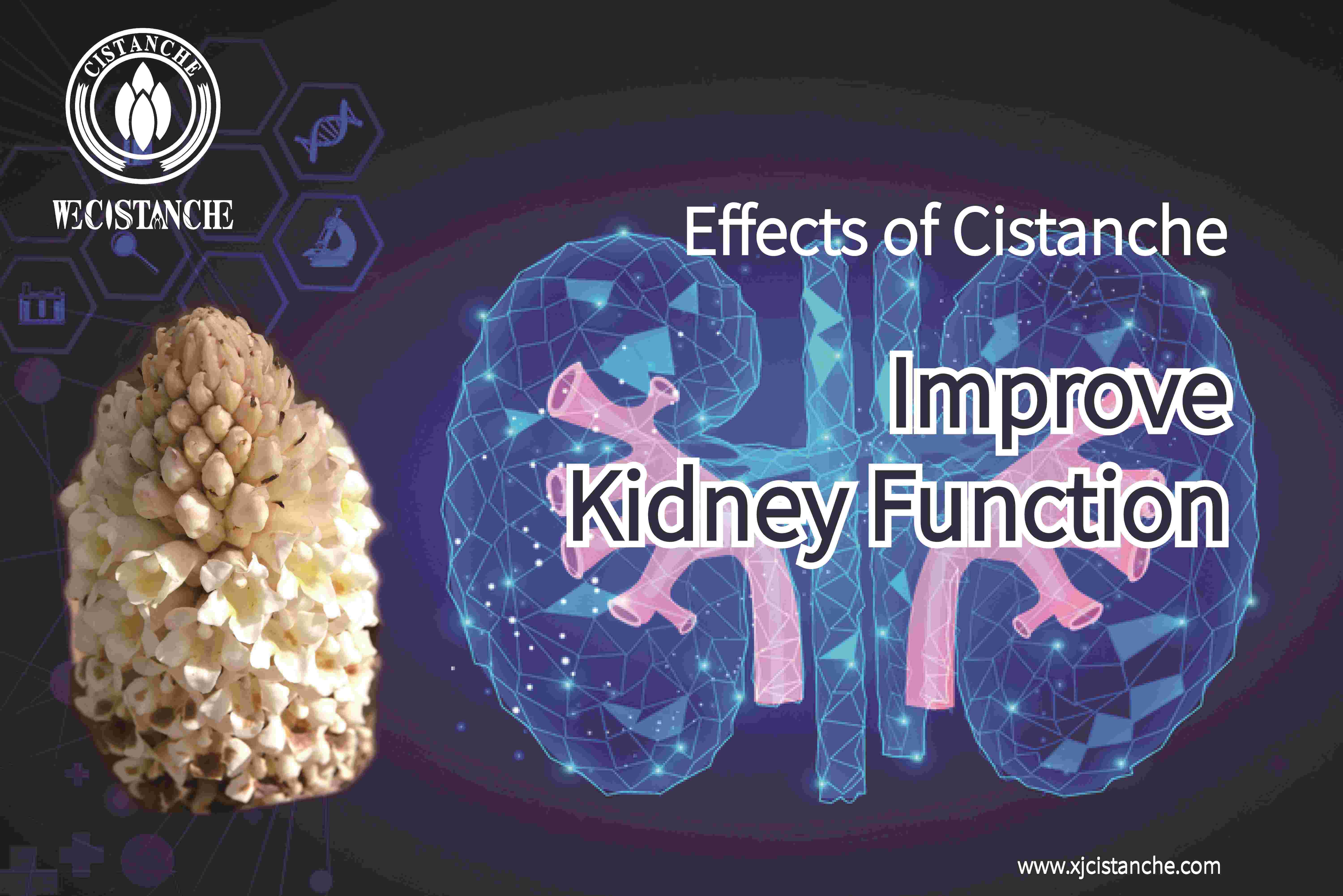 how to lower creatinine