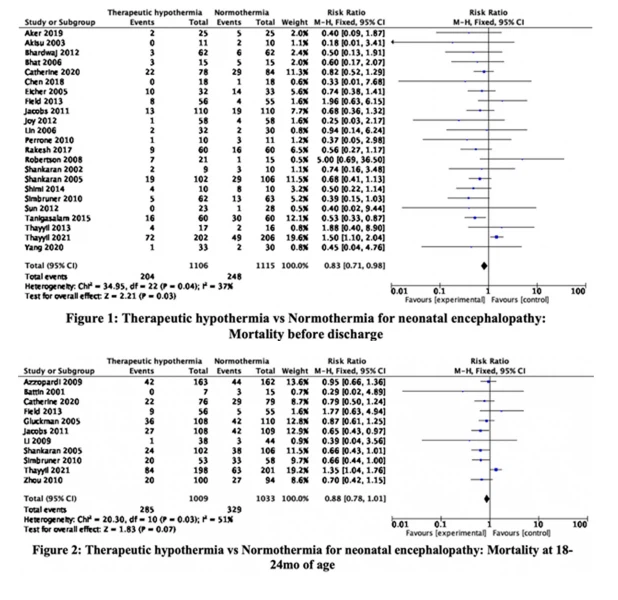 cistanche essential oil