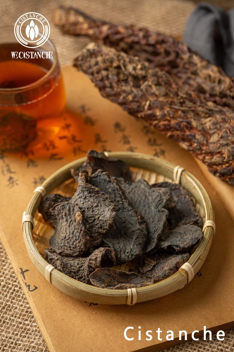 does cistanche raise blood pressure