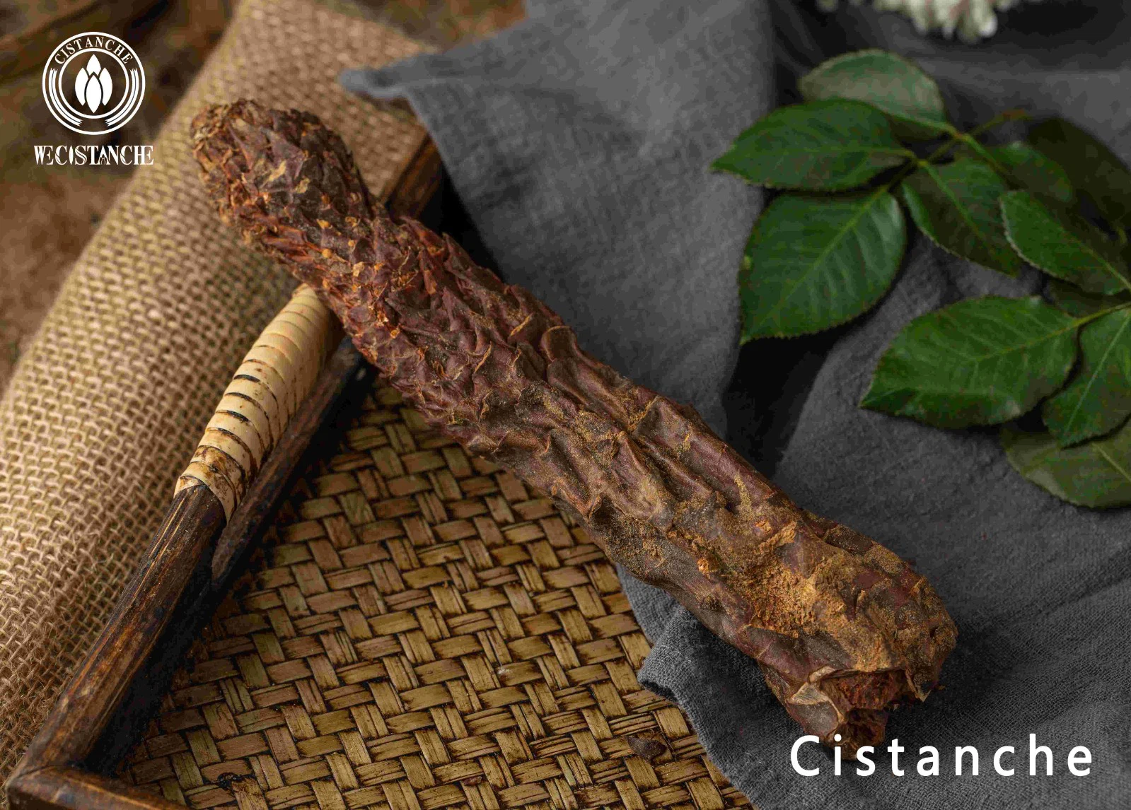 best way to take cistanche