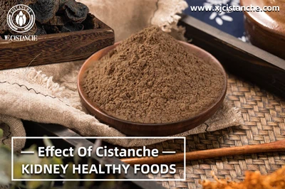 Cistanche benefits
