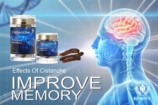 cistanche—Improve memory2 cistanche—Improve memory2