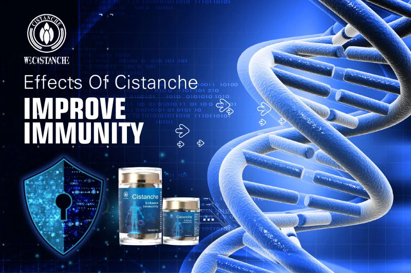 cistanche capsules cistanche capsules