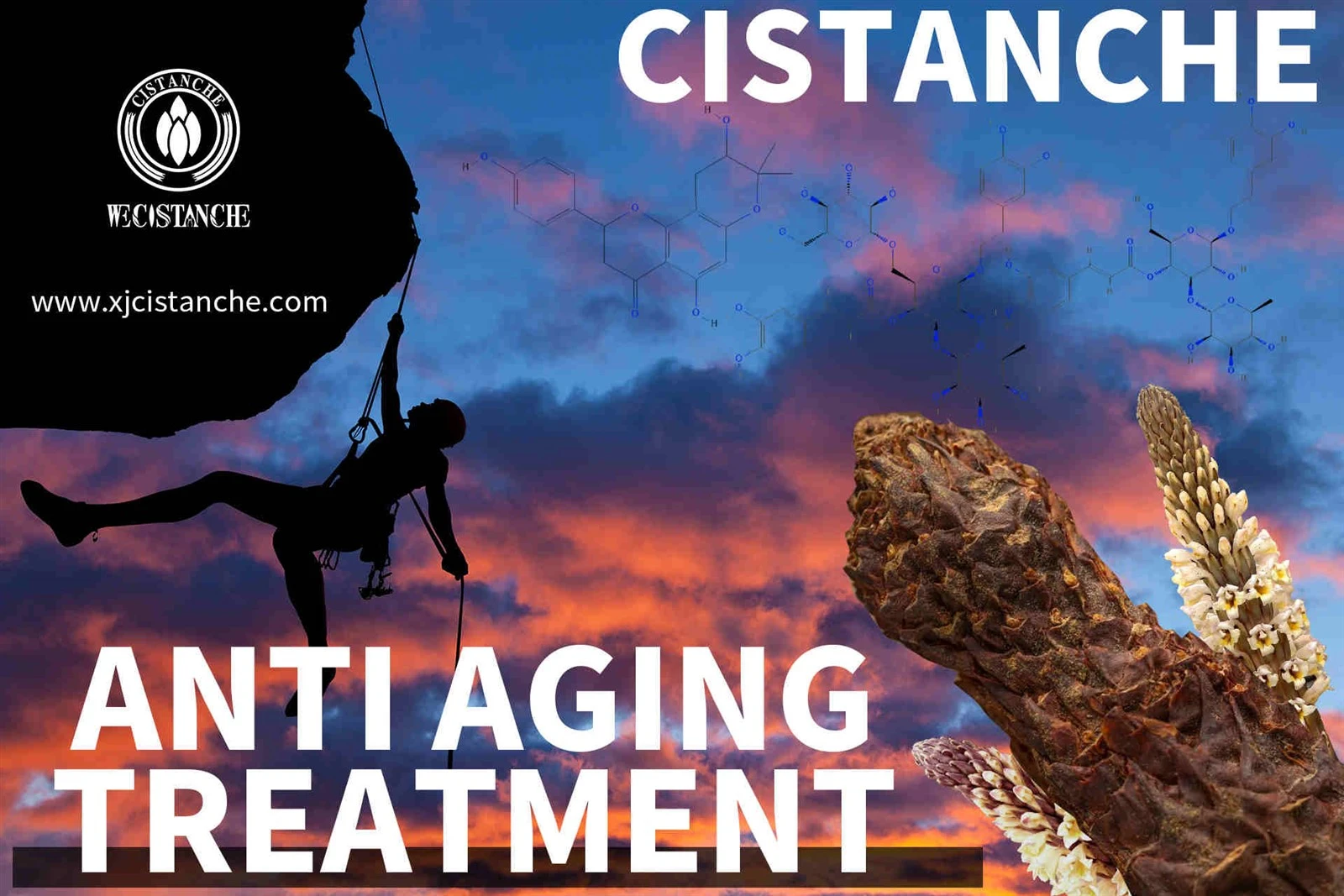 cistanche chemist warehouse