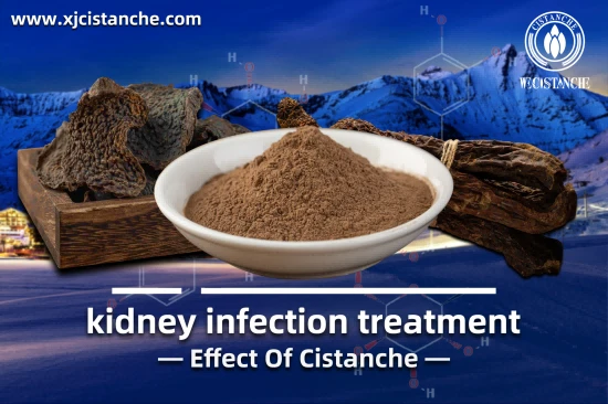BEST HERBS FOR CKD BEST HERBS FOR CKD