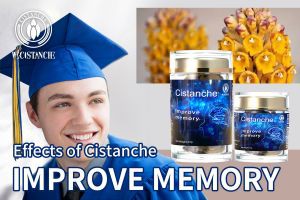 improve short term memory