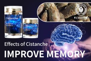 memory enhancement memory enhancement