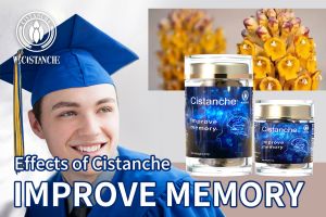 improve cognitive function improve cognitive function