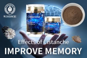 ways to improve your memory ways to improve your memory